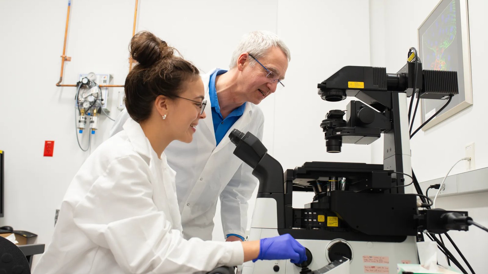 Two researchers work in a medical lab.