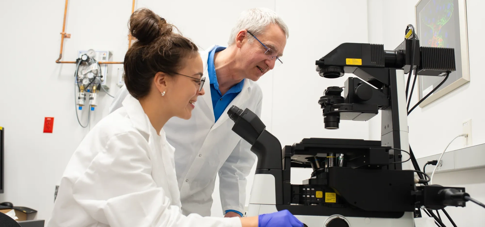 Two medical researchers work in a lab.